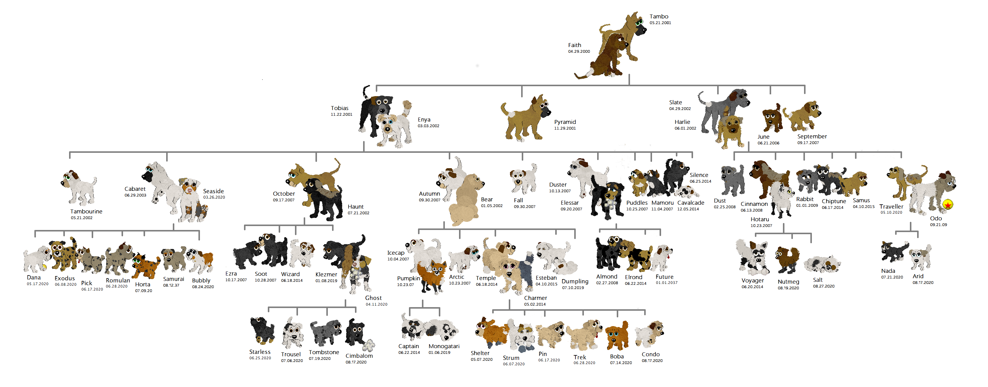 Genealogy Tree 08-2020