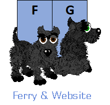 FG: Ferry & Website